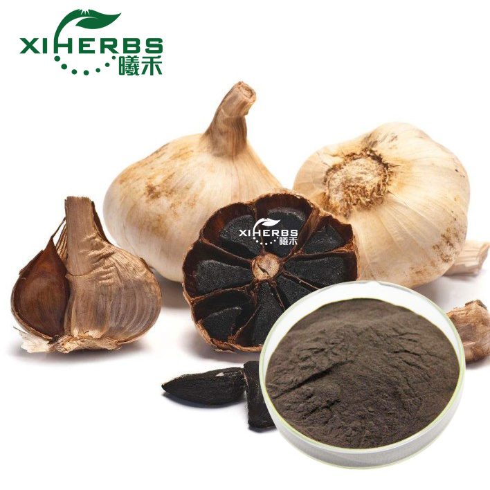 ISO Certification Black Garlic Bullet Extract Polyphenols Powder