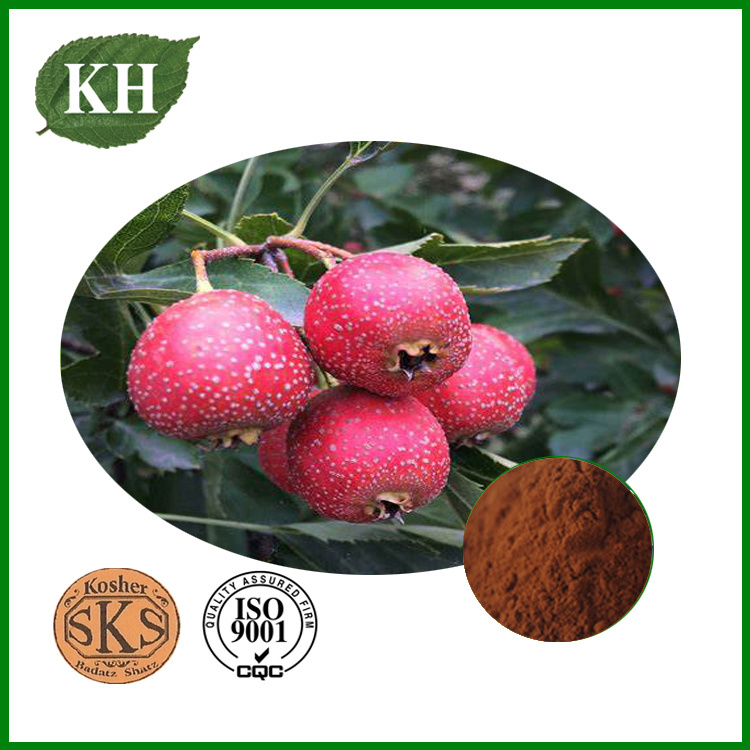 Hawthorn Extract Flavonoids 5% 20% by UV