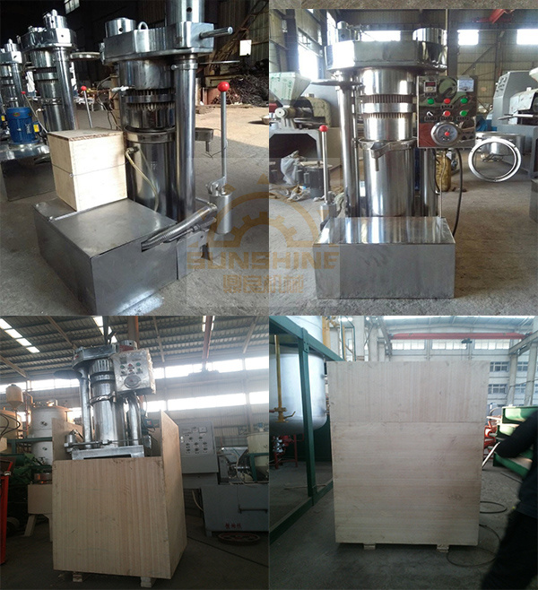 Olive Oil Press Machine Small Olive Oil Mill