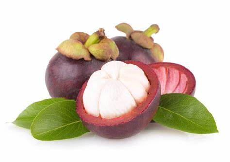 Mangosteen Peels Extract Powder Mangostine