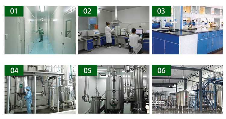 Synephrine Hot Selling Synephrine Powder Synephrine with Best Price CAS 94-07-5