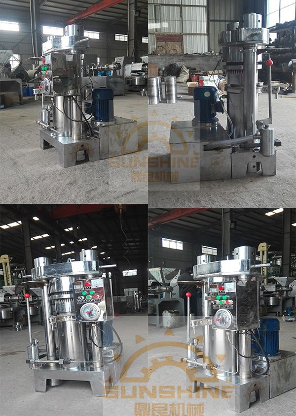 Olive Oil Press Machine Small Olive Oil Mill