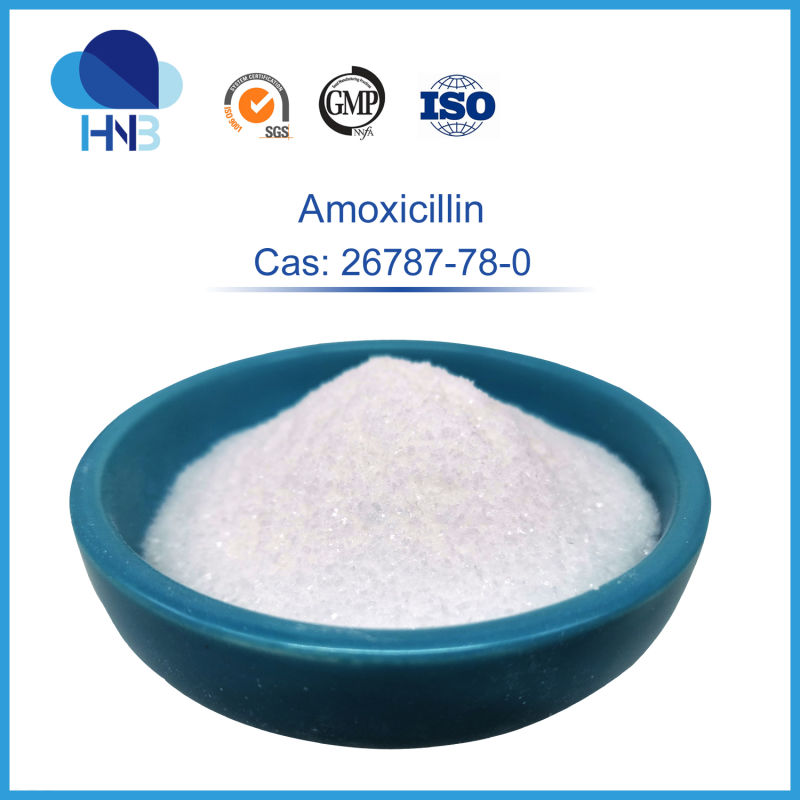 CAS 61336-70-7 Amoxicillin Powder in Bulk Amoxicillin