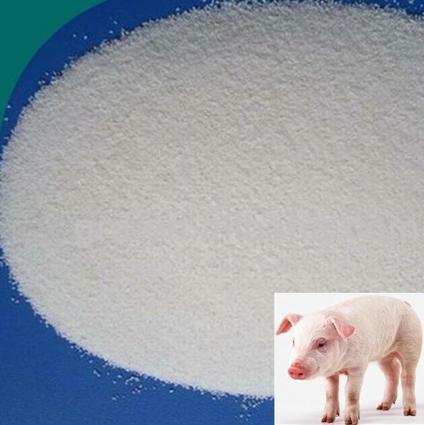 99% Active Pharmaceutical Intermediates, Neomycin Sulfate CAS 1405-10-3 for Antibacterial