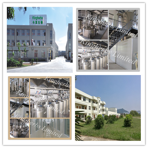 High Natural Andrographis Paniculata Extract; Andrographolide 5%, 30%, 50%, 95%, 98% by HPLC