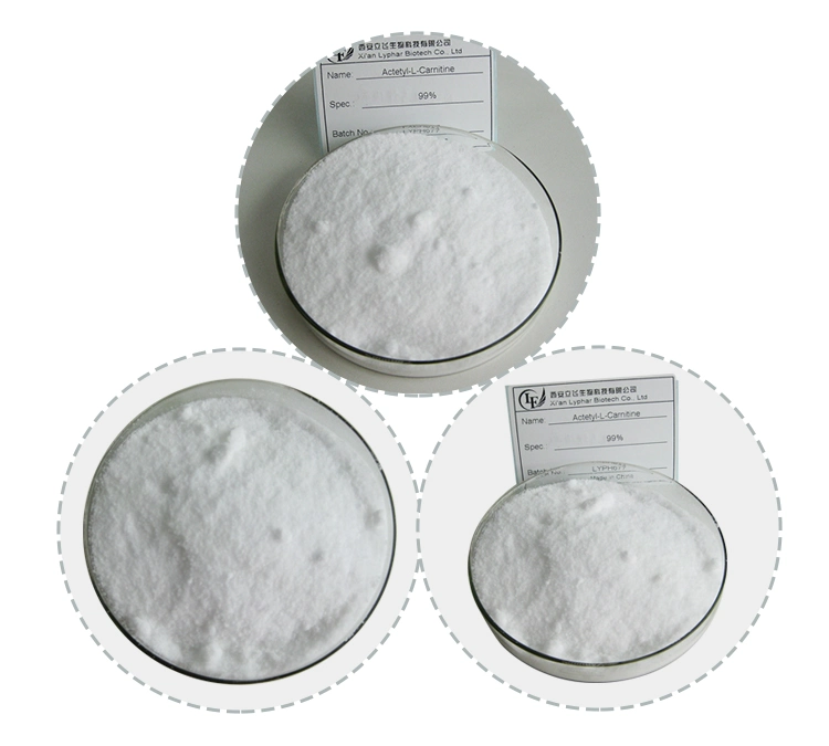 Slimming Raw Material Acetyl Carnitine and Acetyl-L-Carnitine