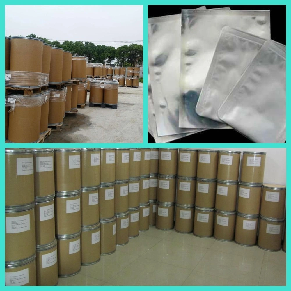 Factory Supply High Quality Acetyl L-Carnitine Powder CAS 541-15-1