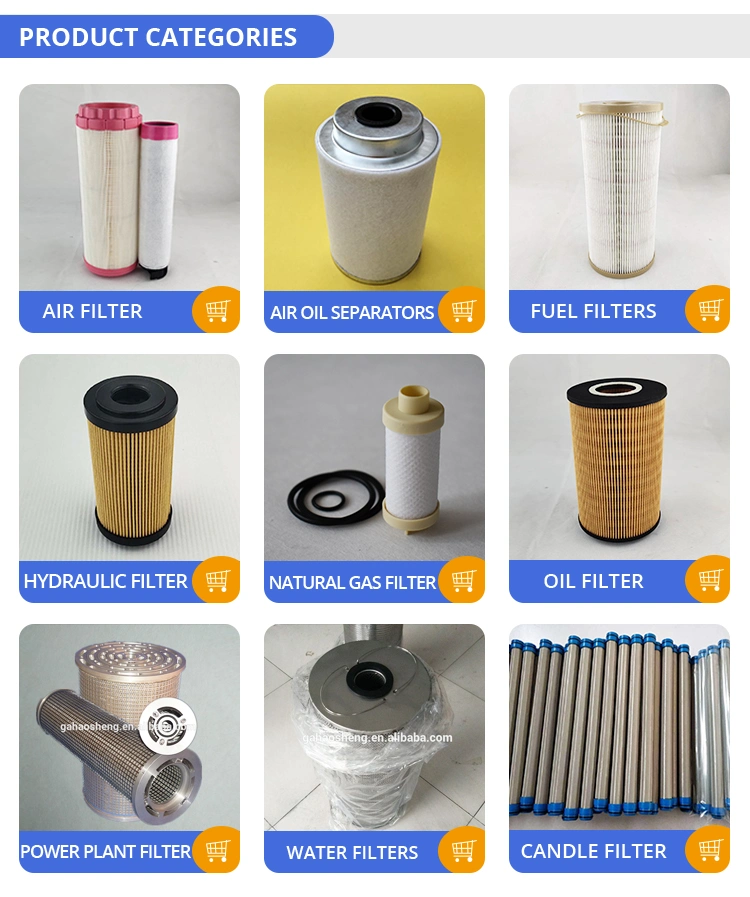 Natural Gas Filter Cartridge, Polyester Gas Filter, Pleated Gas Filter Cartridge for Oil Field Gas