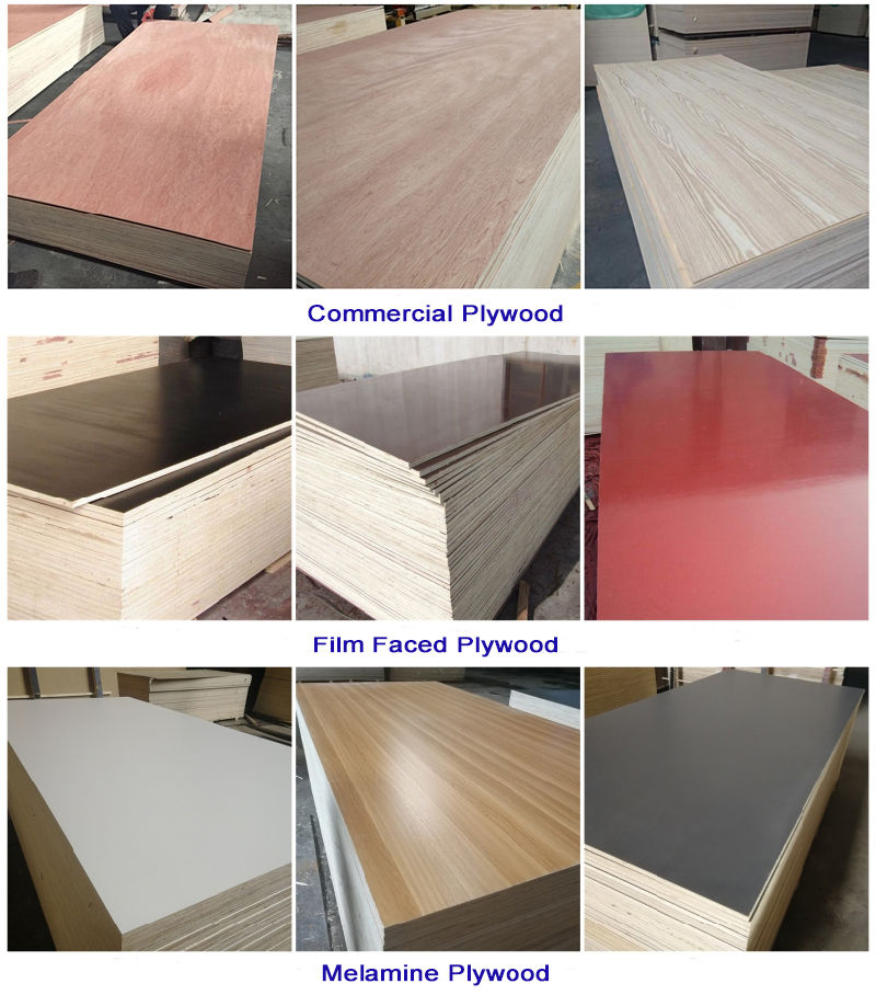 28mm Thickness Pallet in Container Flooring Plywood