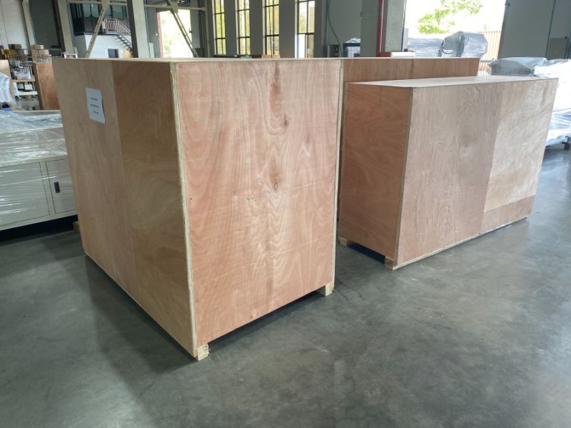 Automatic Carton Packing Case Packer Machine for Pouch Box Bottle