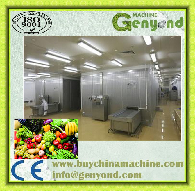 Clean Vegetables Fruit Processing Plant for Sale