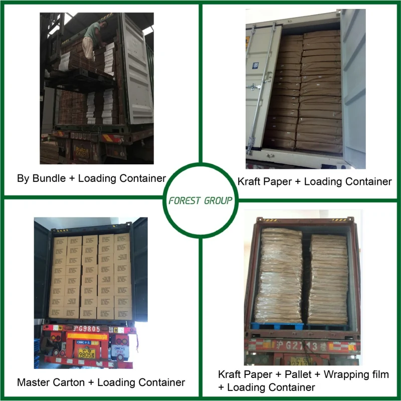 Paper Box for Gift Packing Box Fp20160402
