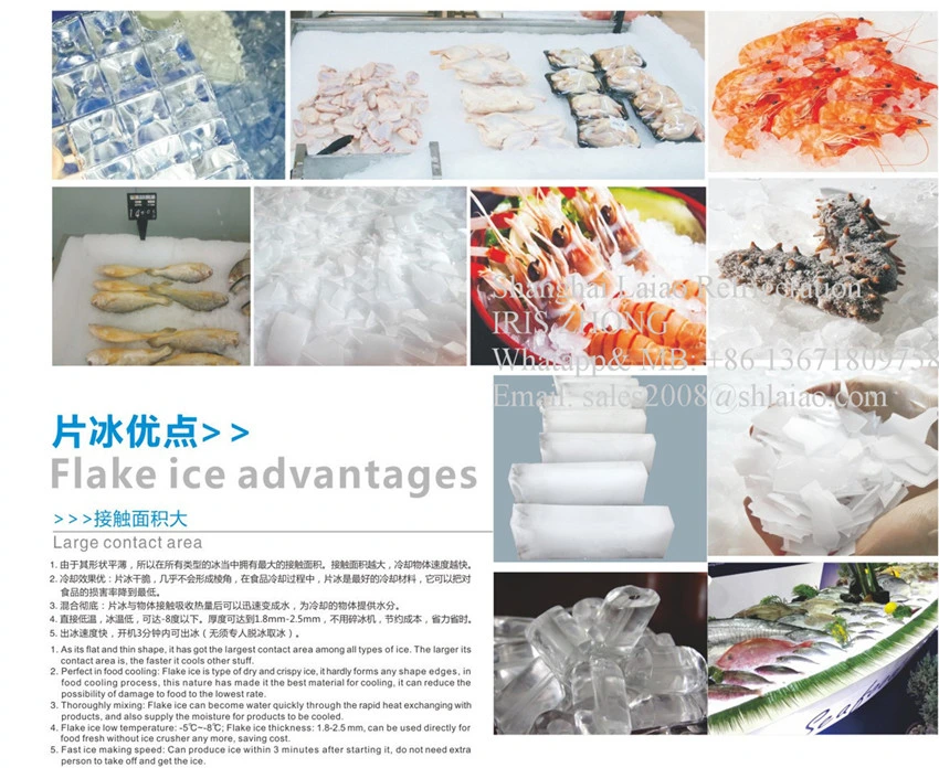 Fish Boat Flake Ice Machine