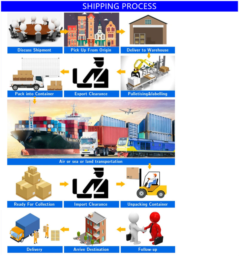 International Logistic Agent, Freight Forwarder Shipping by Ocean FCL