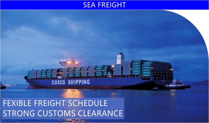 International Logistic Agent, Freight Forwarder Shipping by Ocean FCL