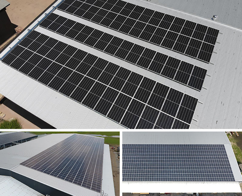 Trina 144 Cells 400 405 W Double Glass Solar Panel