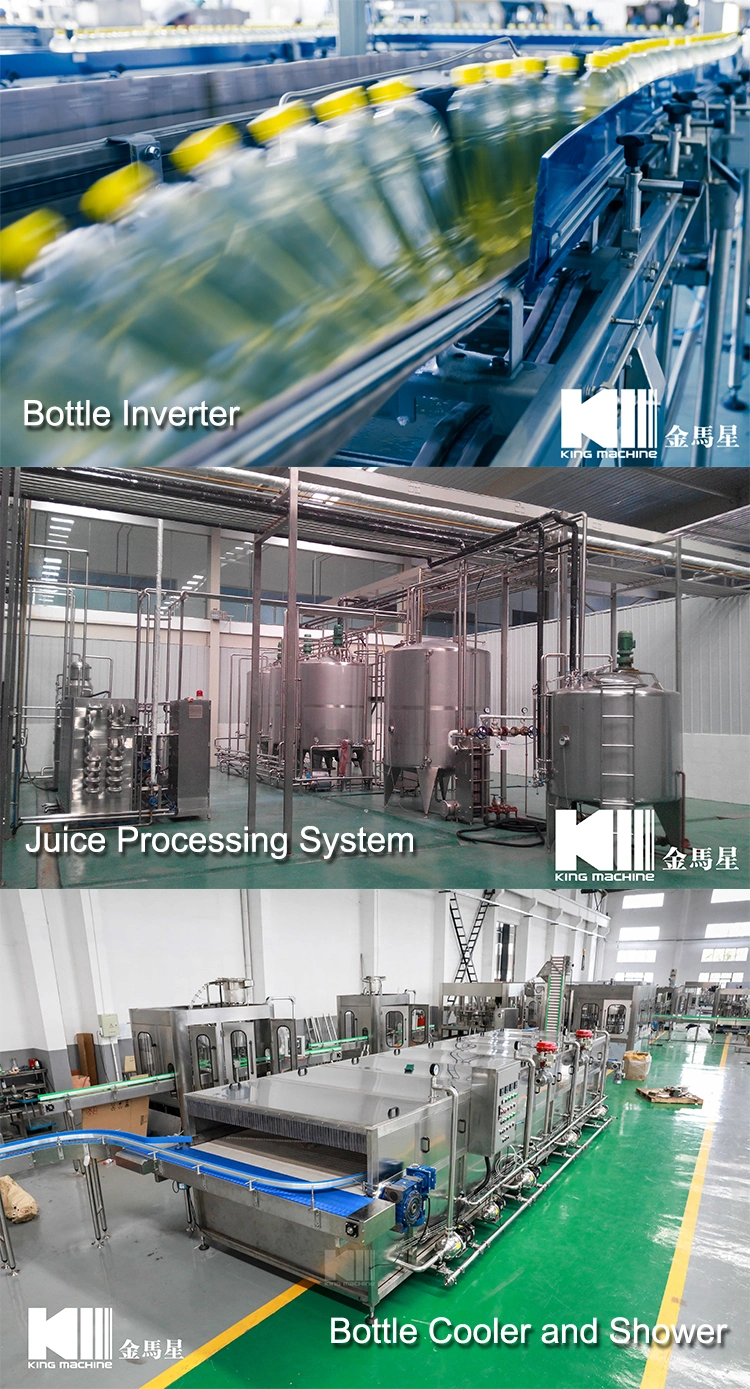 3-in-1 Monoblock Automatic Bottled Juice Pulp Filling Machine for Fruit Juice Production Line