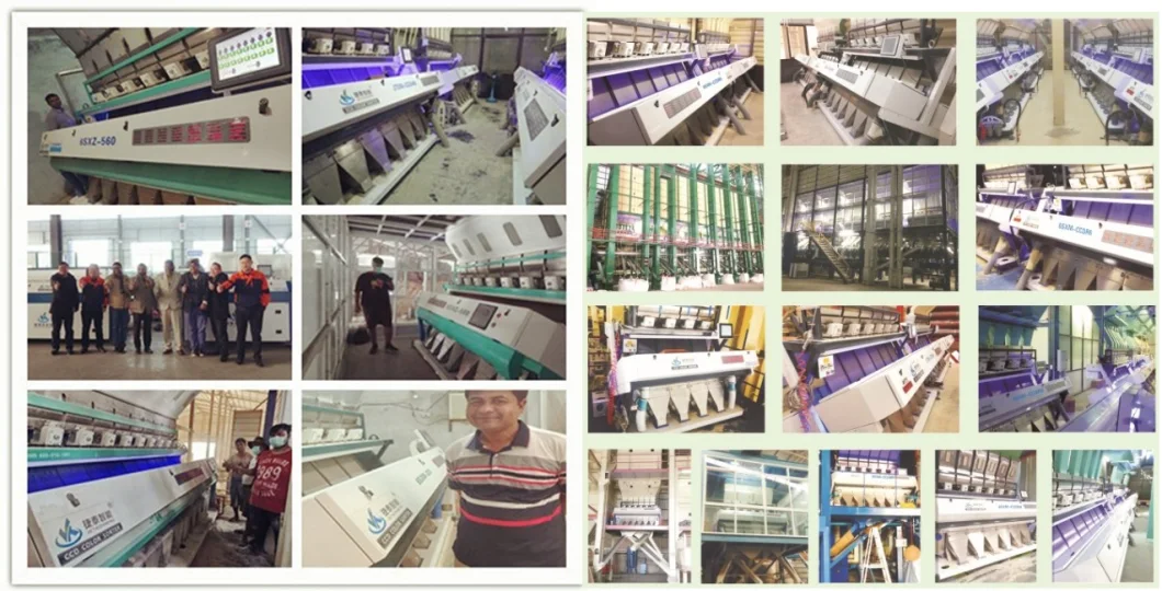 New Model 7 Chutes Plastic Sorting Machine