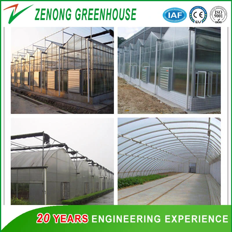 PC Sheet Covered Greenhouse with Irrigation System/Ventilation System/Cooling System