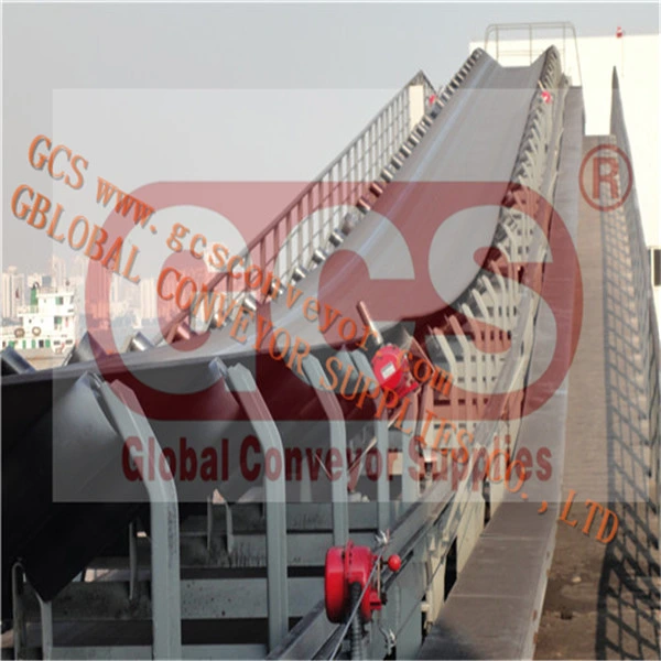 Customizable Belt Conveyor for Bulk Material Handling/Belt Conveyor System