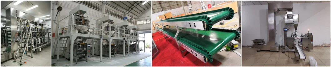 Manufacturer Price Food Grade PP Plastic Belt Conveyor