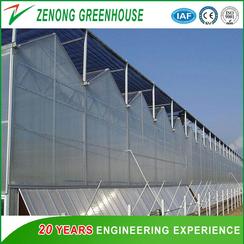 PC Sheet Covered Greenhouse with Irrigation System/Ventilation System/Cooling System