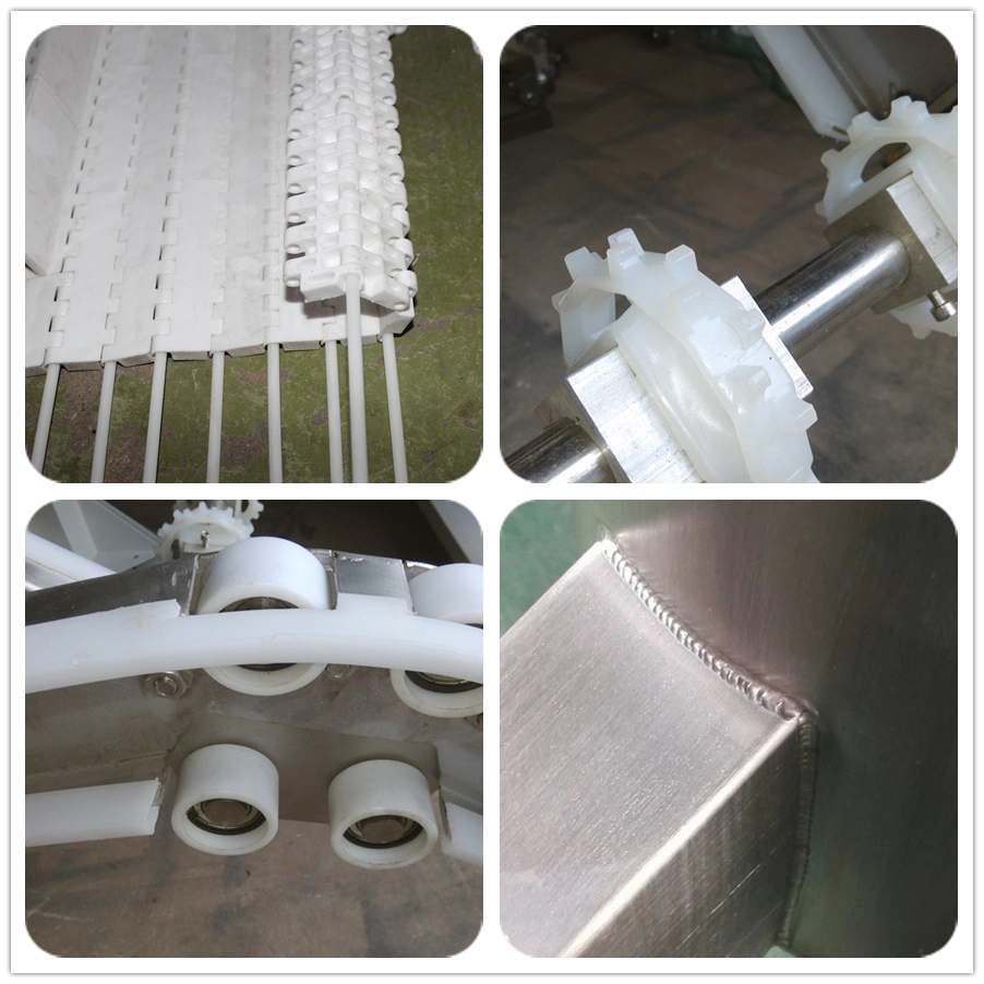 Manufacturer Price Food Grade PP Plastic Belt Conveyor