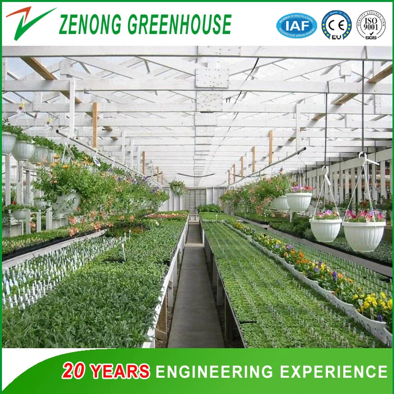 PC Sheet Covered Greenhouse with Irrigation System/Ventilation System/Cooling System