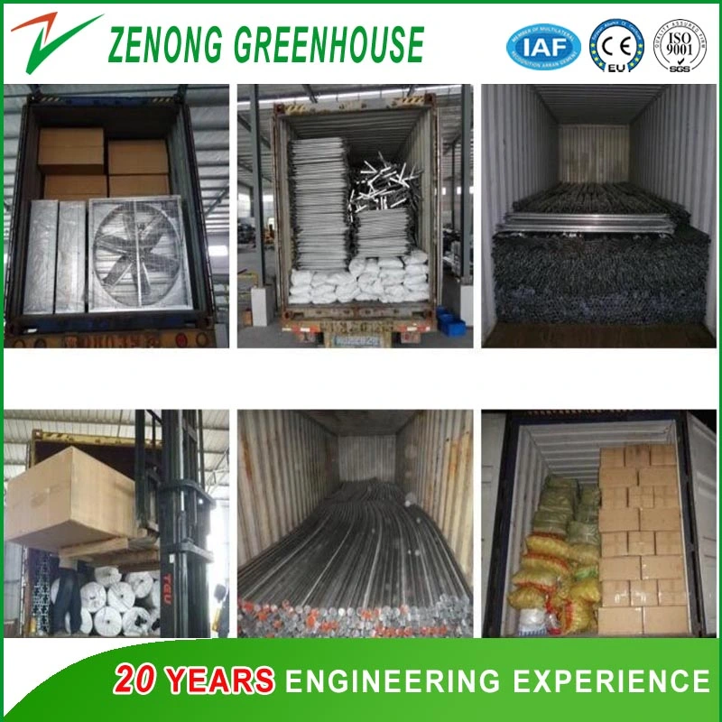 PC Sheet Covered Greenhouse with Irrigation System/Ventilation System/Cooling System