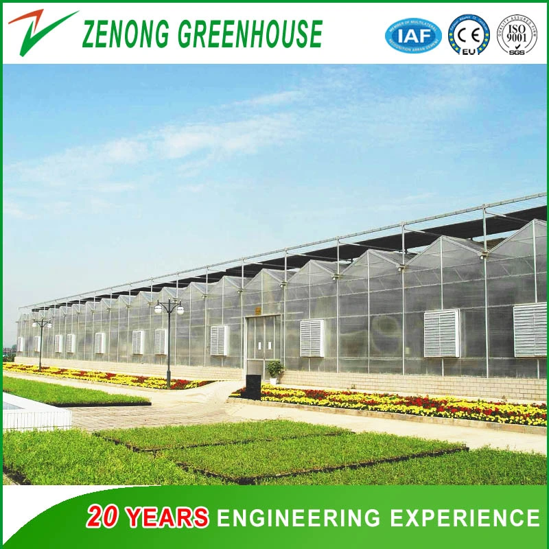 PC Sheet Covered Greenhouse with Irrigation System/Ventilation System/Cooling System