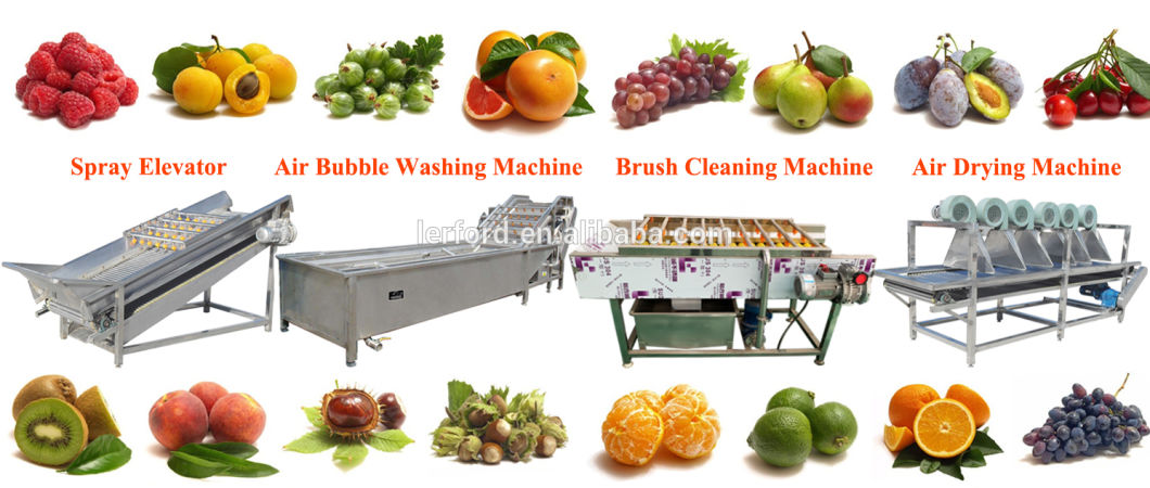 Automatic Fruit Sorting Line Kiwi Sorting Machine Apricot Sorting Machine