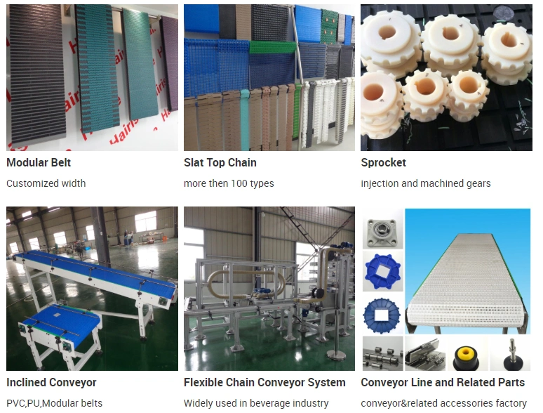 Hairise Plastic Modular Conveyor Belt for Food Beverage Package Industry