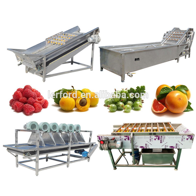 Automatic Fruit Sorting Line Kiwi Sorting Machine Apricot Sorting Machine