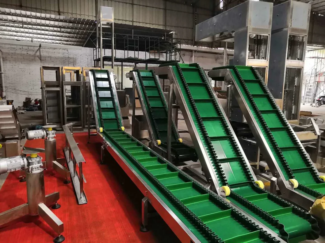 Manufacturer Price Food Grade PP Plastic Belt Conveyor