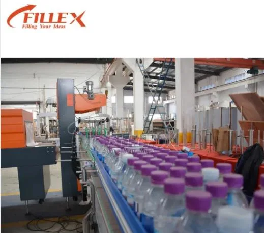 Competitive Price Conveyor for Plastic Filled Bottles/Chain-Plate Conveyor Belt for Filled Bottles