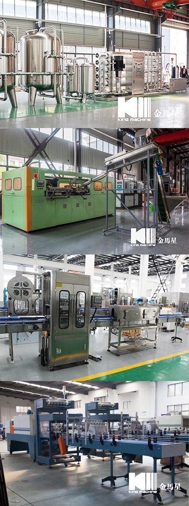 3-in-1 Monoblock Automatic Bottled Juice Pulp Filling Machine for Fruit Juice Production Line