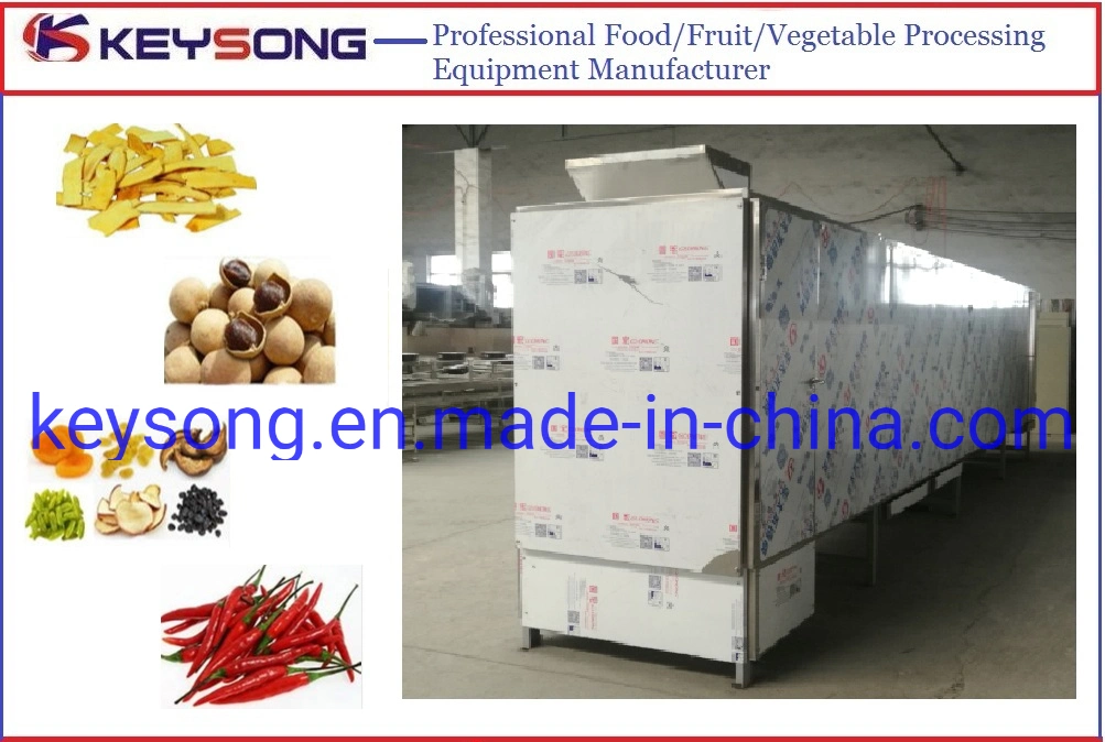 Banana Drying Machinery Conveyor Mesh Belt Type Dryer