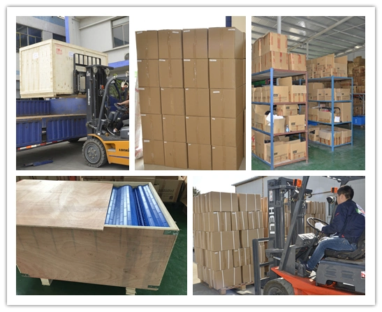 Hairise Plastic Modular Conveyor Belt for Food Beverage Package Industry