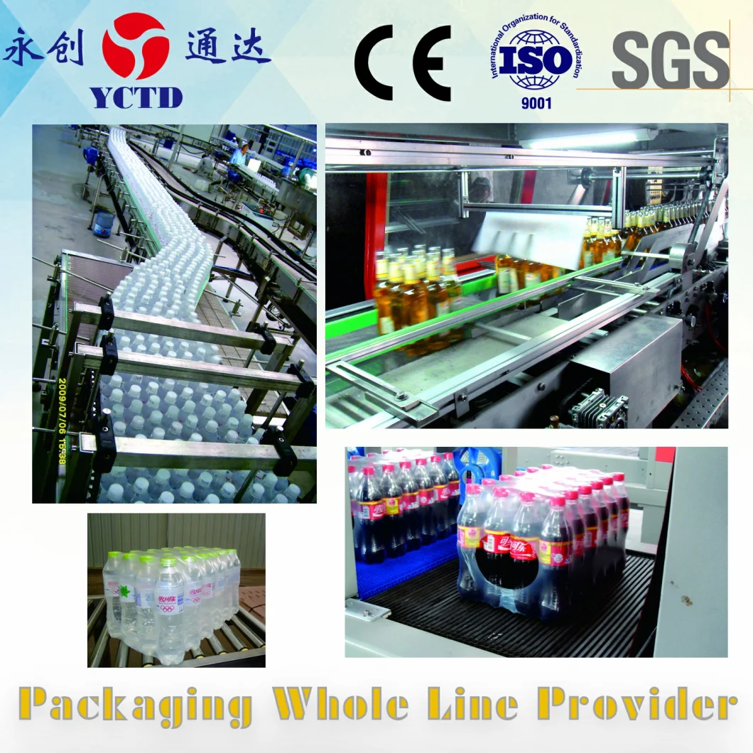 Conveyor used for Production Line Conveying bottles cartons box packaging industry plastic modular conveyor belt