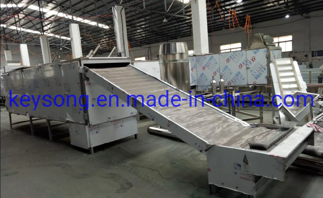 Banana Drying Machinery Conveyor Mesh Belt Type Dryer