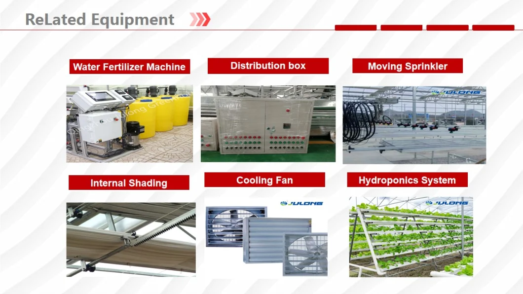 China Suppliers Polycarbonate Greenhouse with Seeded/Hydroponics System for Lettuce/Tomato/Cucumber Growing