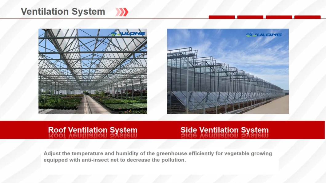 China Suppliers Polycarbonate Greenhouse with Seeded/Hydroponics System for Lettuce/Tomato/Cucumber Growing