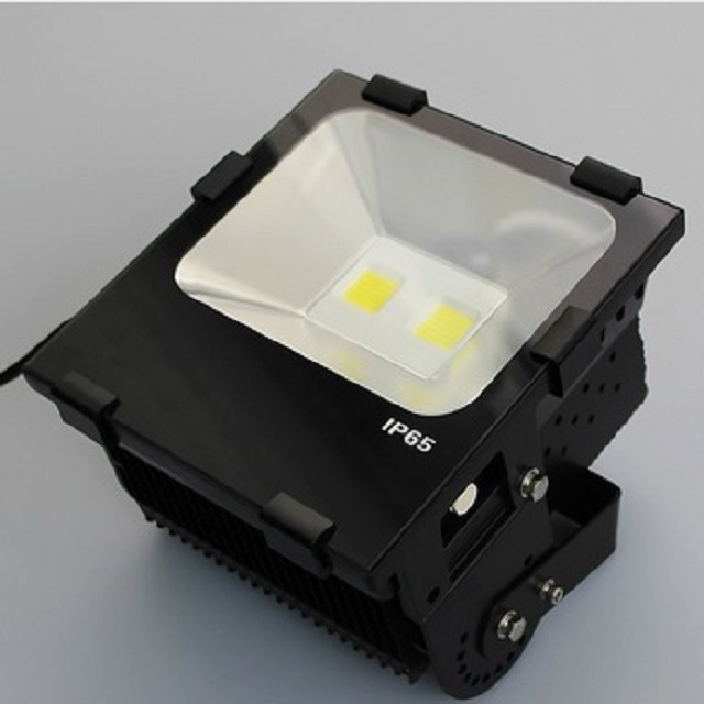 IP65 100W LED Outdoor Spot Light Flood Light Reflector Stadium Lighting with COB Bridgelux Chips