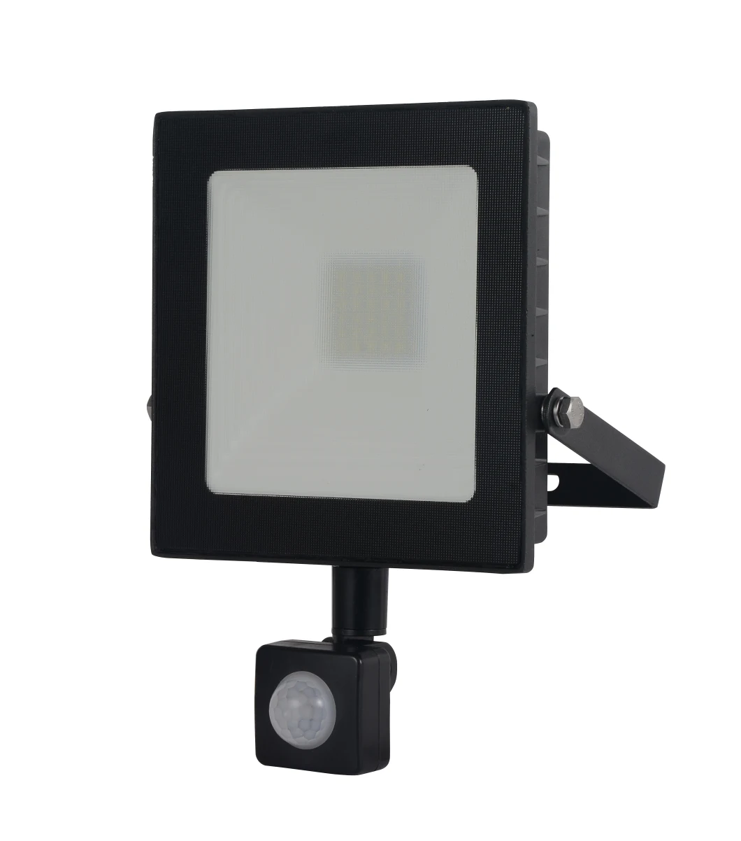 Outdoor IP65 Waterproof Project LED Flood Light with CE CB Reflector 30W LED Light