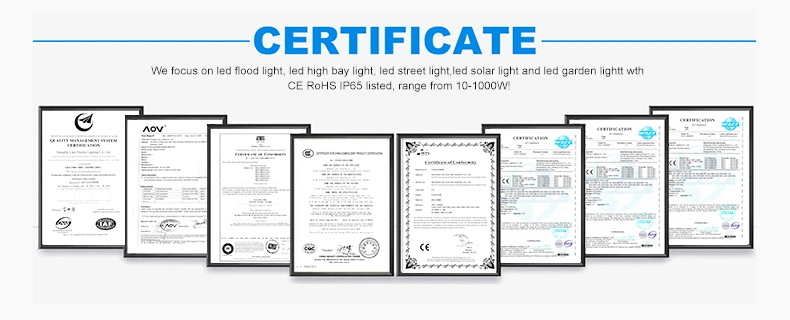 Lipu Industrial Lighting Factory LED Reflector 110W 220W Floodlight