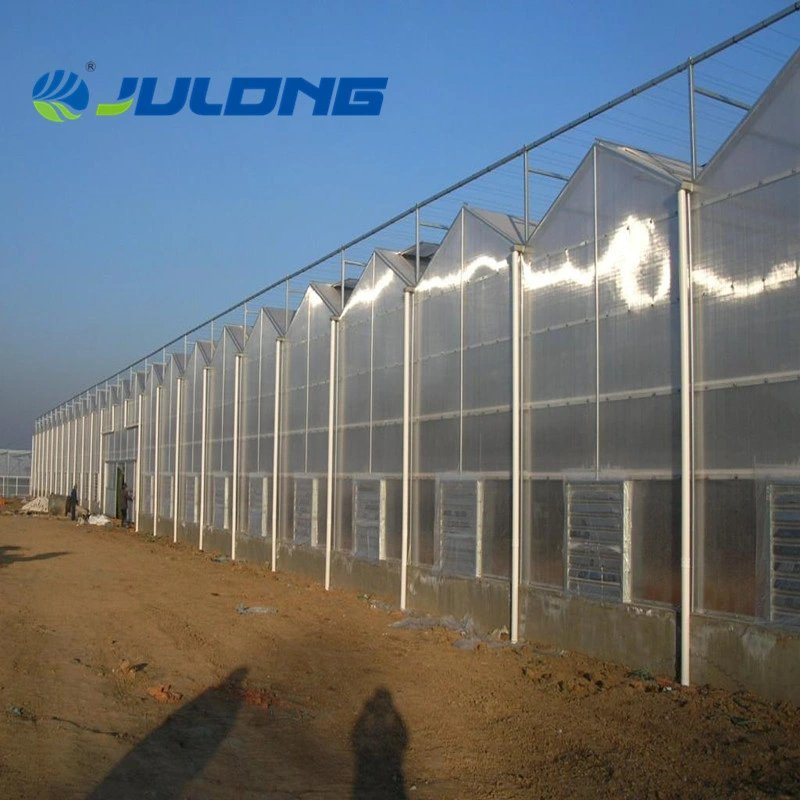 China Suppliers Polycarbonate Greenhouse with Seeded/Hydroponics System for Lettuce/Tomato/Cucumber Growing