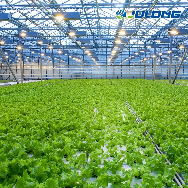 China Suppliers Polycarbonate Greenhouse with Seeded/Hydroponics System for Lettuce/Tomato/Cucumber Growing