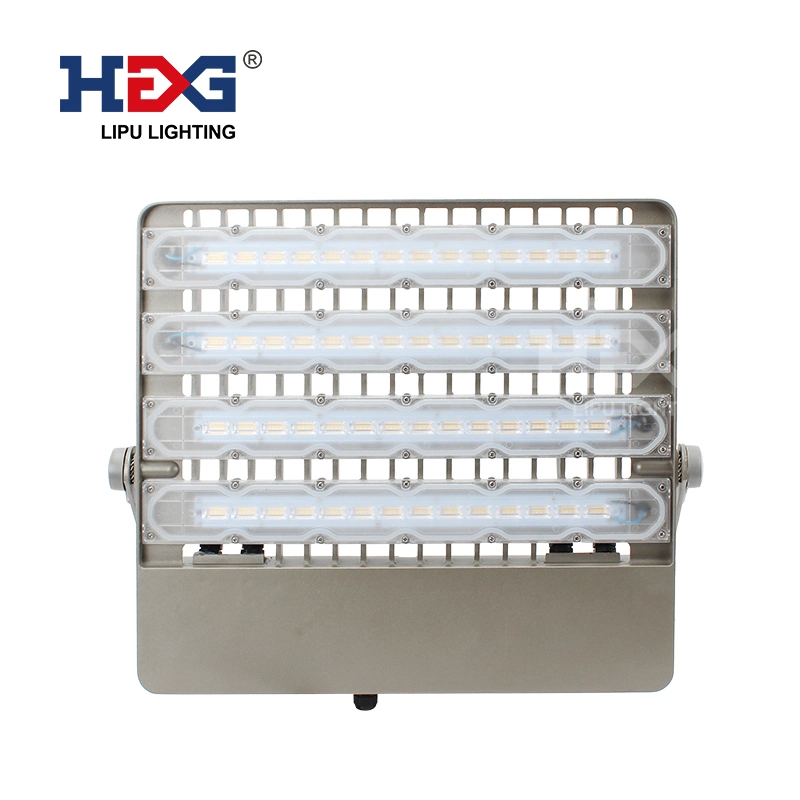 Lipu Industrial Lighting Factory LED Reflector 110W 220W Floodlight