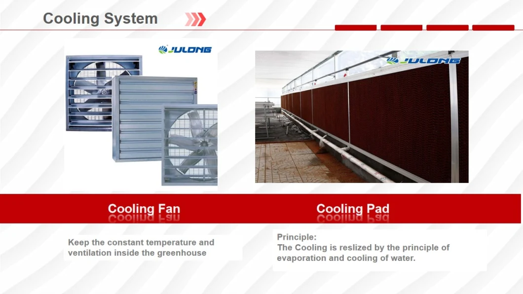 China Suppliers Polycarbonate Greenhouse with Seeded/Hydroponics System for Lettuce/Tomato/Cucumber Growing