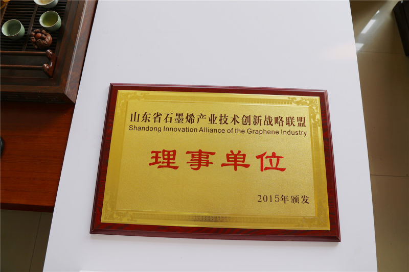 Clear Black Float Glass/ Building Glass/ Window Glass / Door Glass